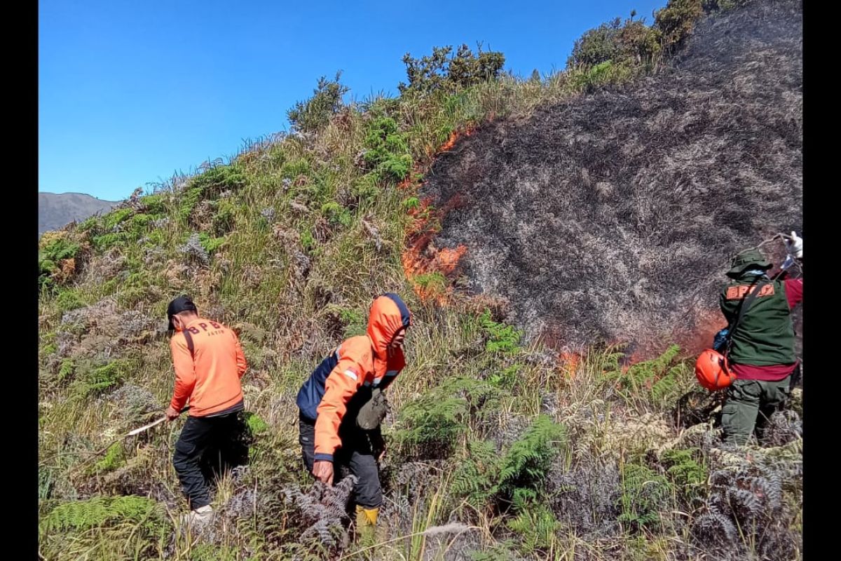 BPBD Probolinggo bantu padamkan karhutla Gunung Batok kawasan TNBTS