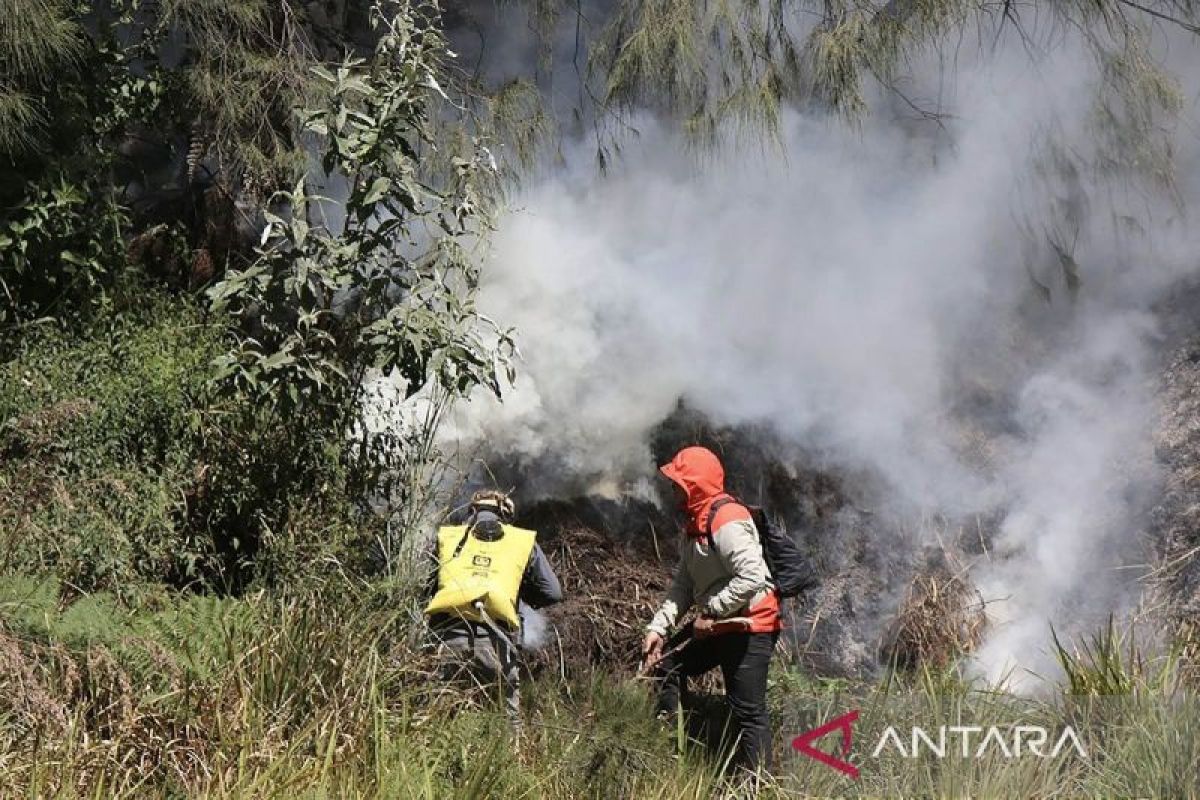Karhutla terjang Bromo lagi, api berulang di Gunung Batok