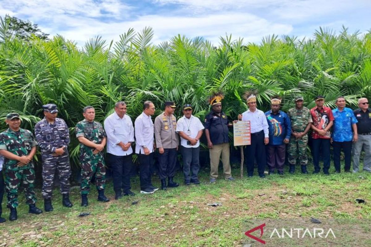 Papua Barat upayakan 210 SDM sawit ikut pengembangan kapasitas