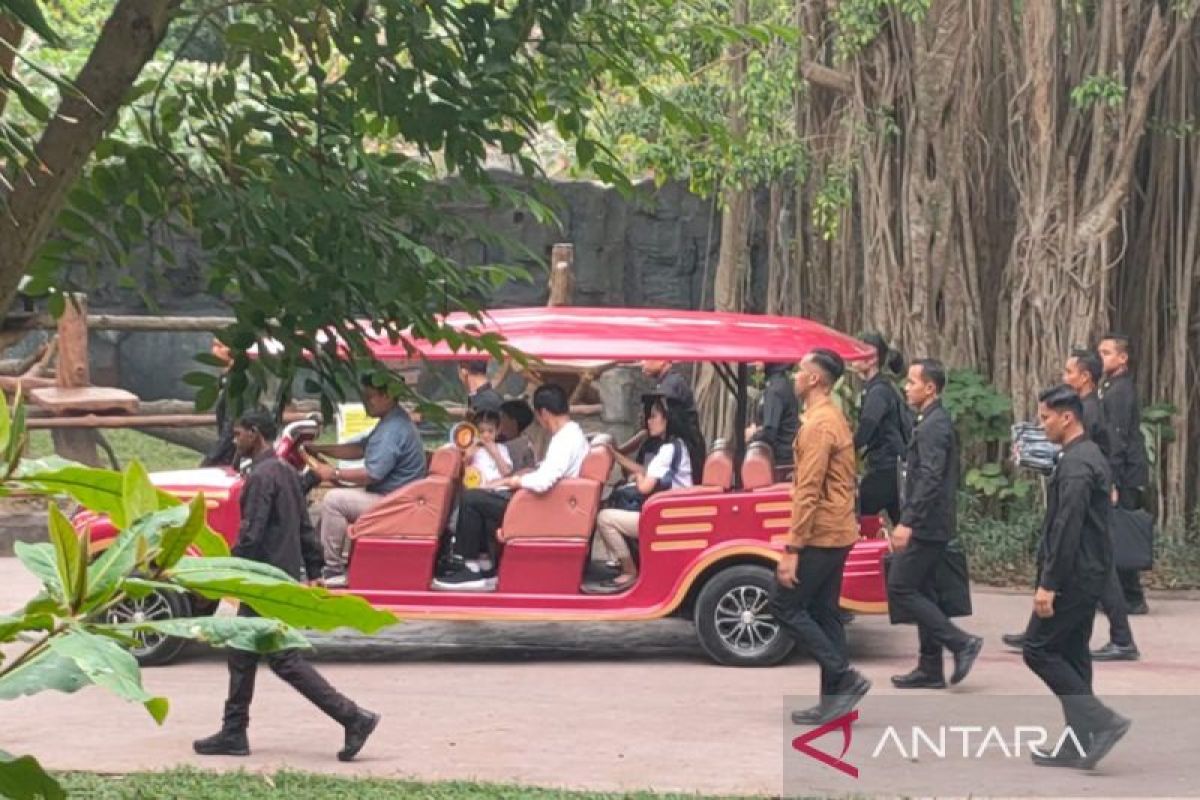 Jokowi mengajak cucu ke Solo Safari, Jateng, saat libur sekolah
