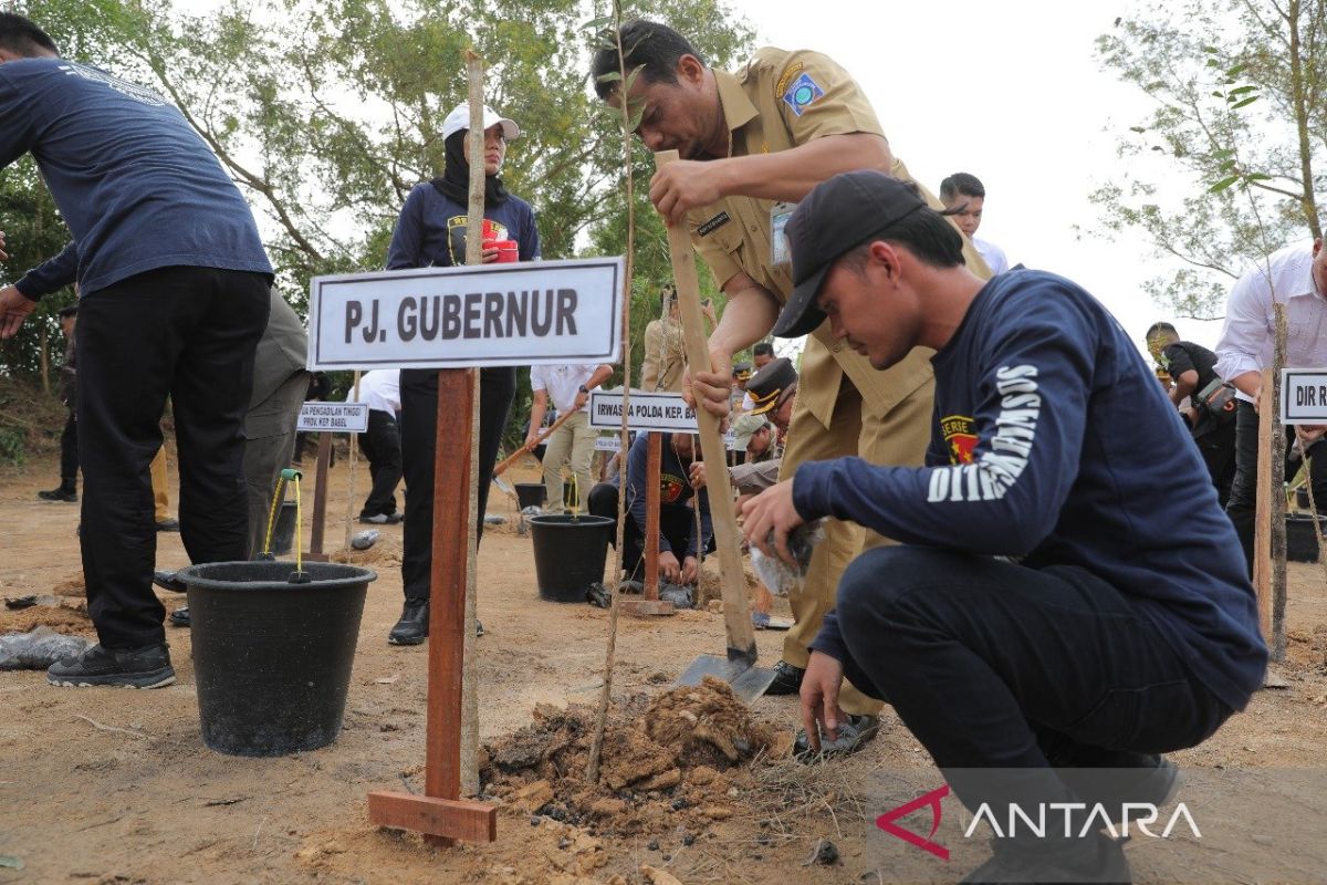 Pemprov-Polda Babel tanam 1.500 pohon di Bandara Depati Amir