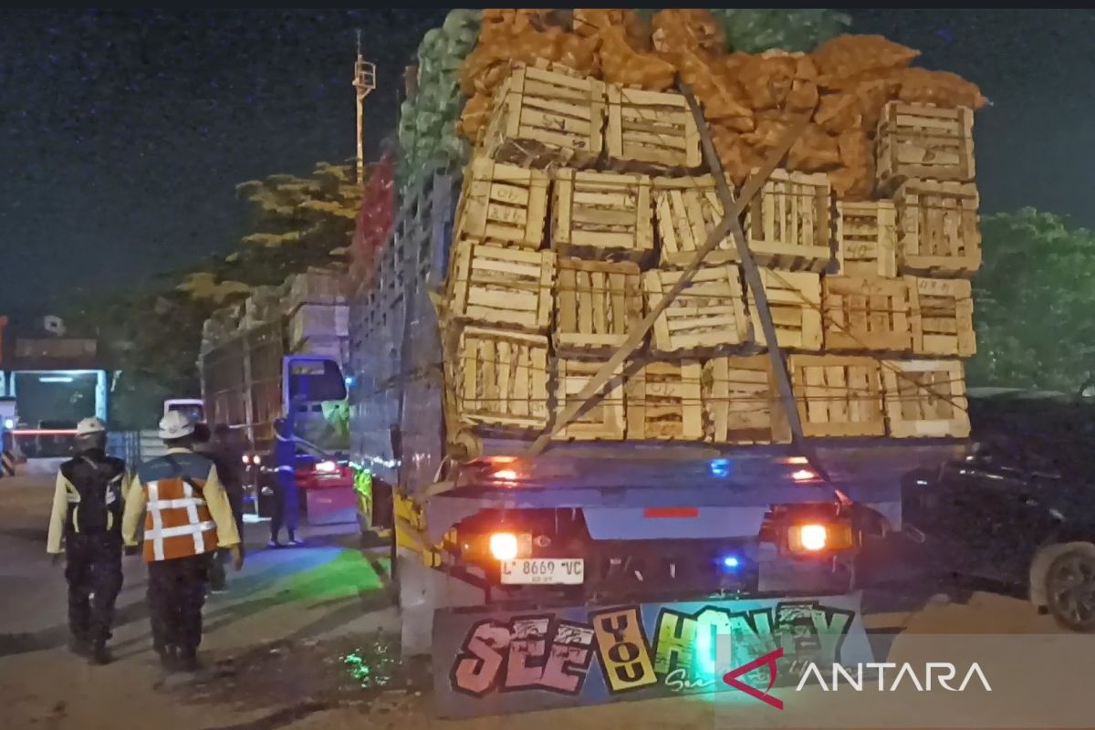 Karantina Kalsel tahan 8 truk sayur diduga langgar aturan kekarantinaan