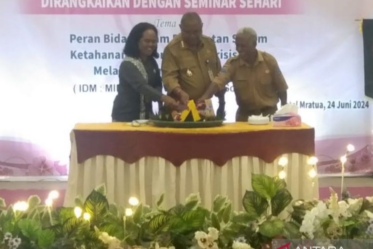 IBI Sorsel komitmen bantu turunkan angka kematian ibu dan anak