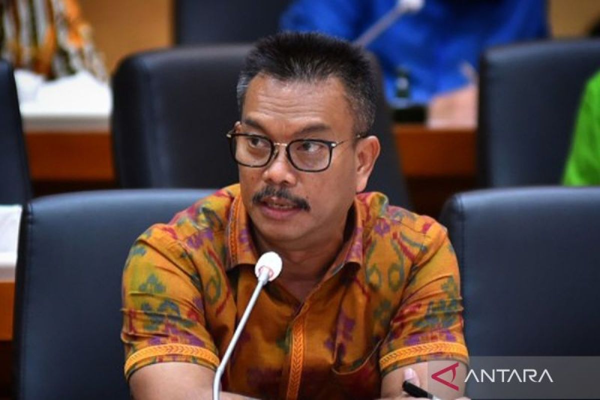 Anggota DPR dukung program cek kesehatan gratis pada tahun 2025