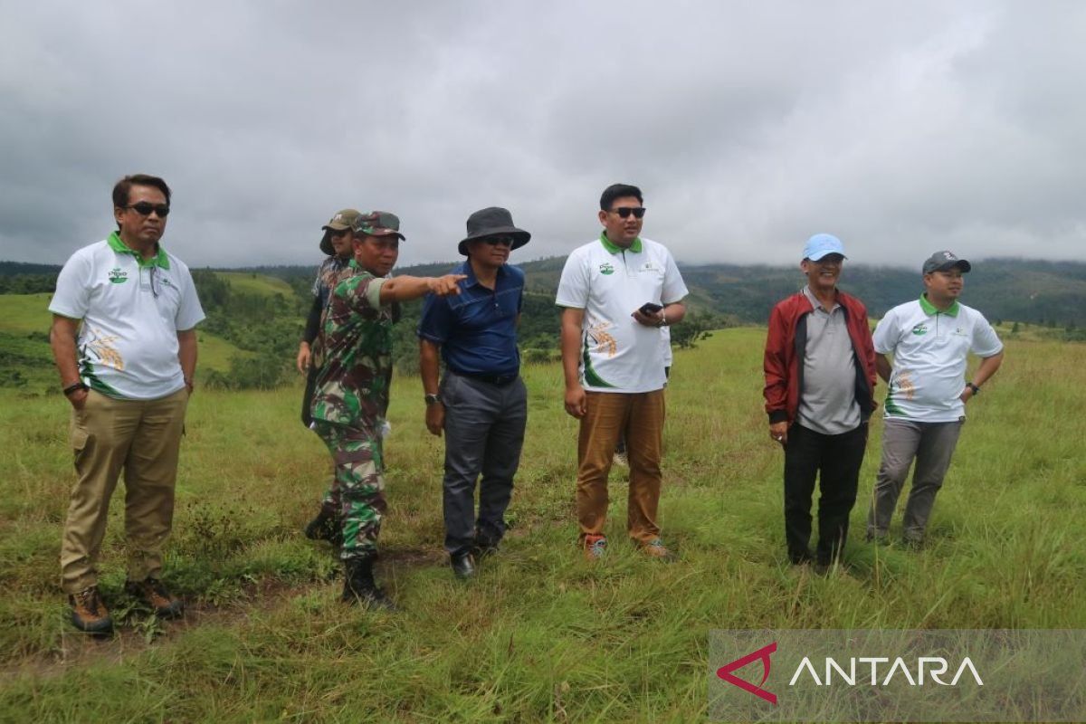 Bank Tanah: 2.900 hektare disiapkan untuk industri sapi perah di Poso