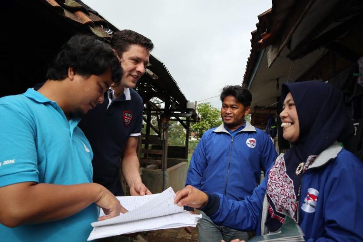 Proyek Dairy4Development tingkatkan kesejahteraan peternak sapi perah