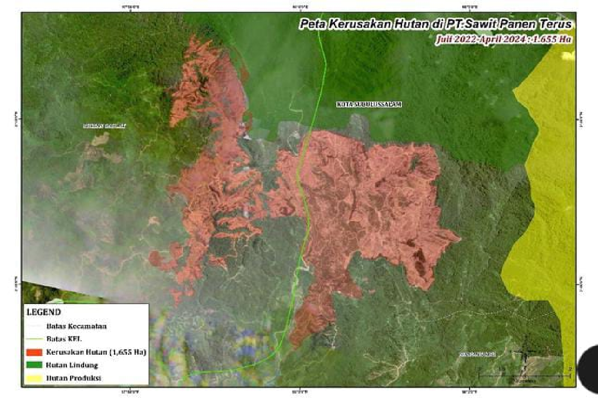 Diduga rambah hutan lindung di Subulussalam, DLHK: Perusahaan sudah hijaukan kembali