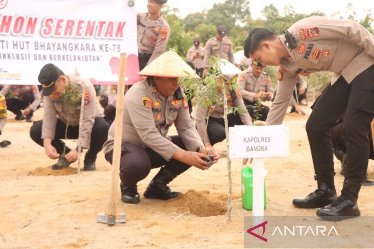 Polisi Bangka tanam 500 batang bibit minyak kayu putih