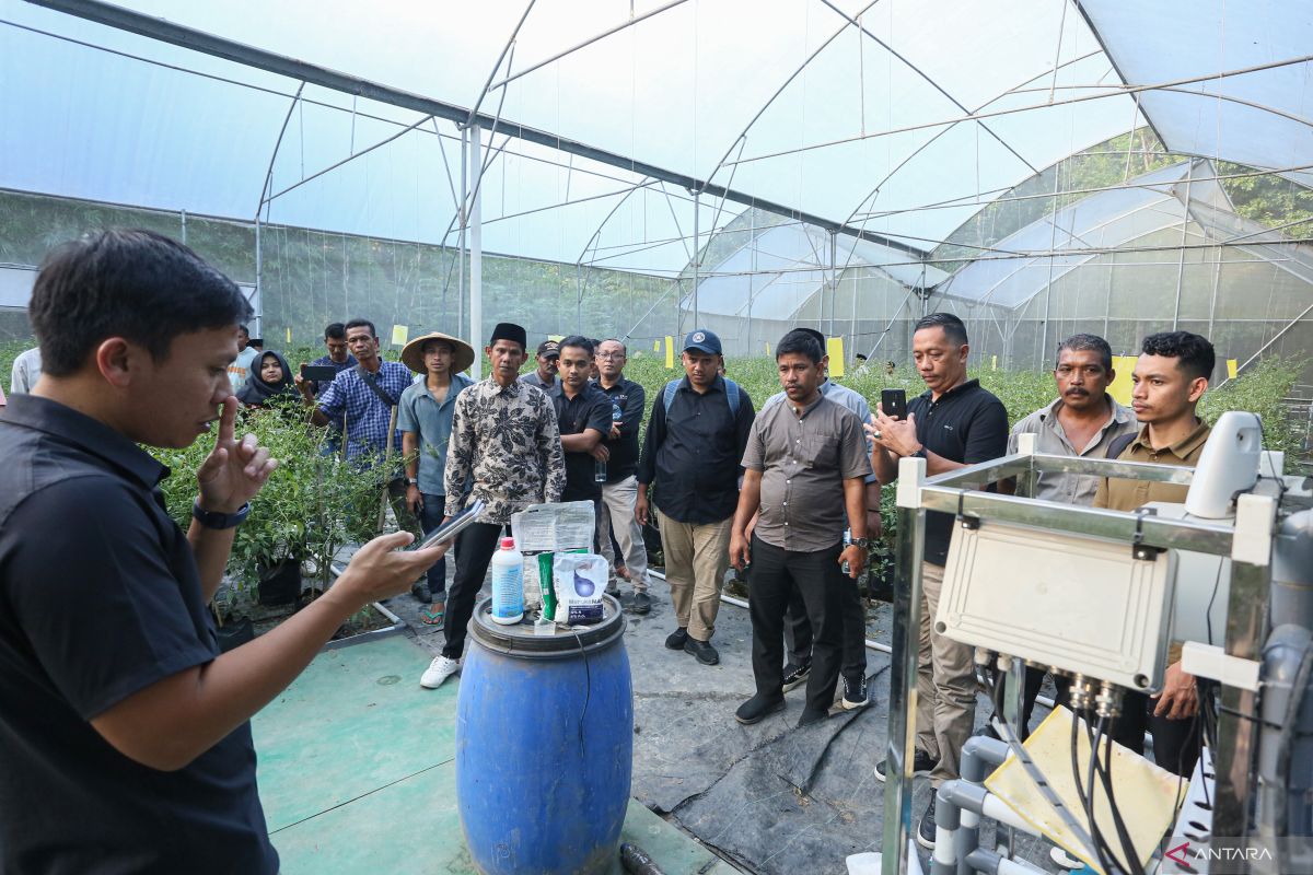 FOTO - Petani Aceh belajar agrowisata hidroponik ke Majalengka