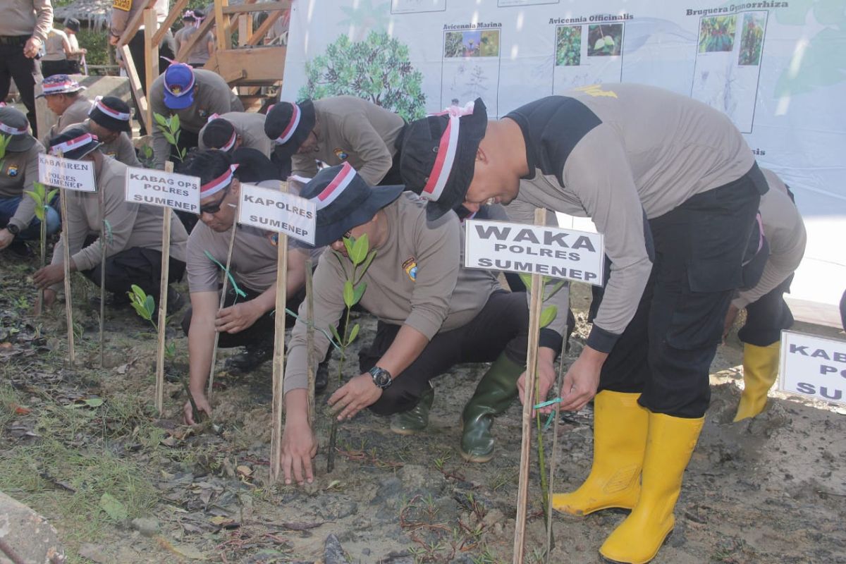 Peringati HUT ke-78 Bhayangkara, Polres Sumenep tanam seribu bibit mangrove