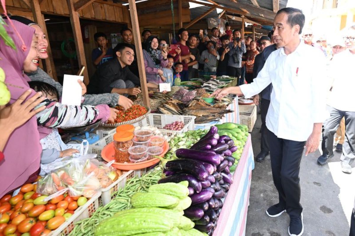 Jokowi cek harga bahan pokok di Pasar Beringin Buntok Kalteng