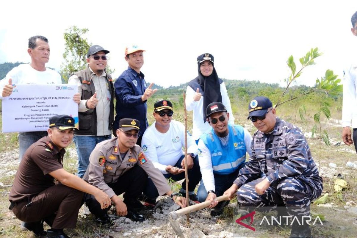 PLN salurkan bantuan TJSL 10.000 pohon untuk membangun ekosistem yang berkelanjutan