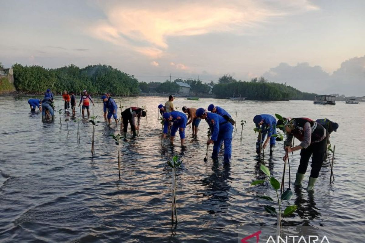 Sambut HUT Bhayangkara Polres Situbondo tanam 3.000 bibit mangrove