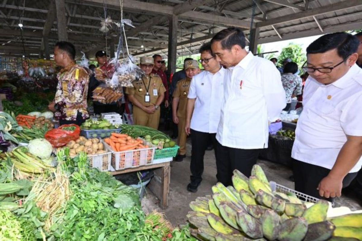 Presiden RI kunjungi Kalteng, PLN hadirkan listrik 