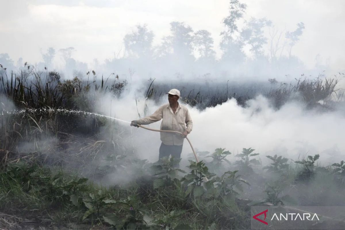 BMKG jaga 2,8 juta hektare gambut di Kalimantan Barat dari ancaman kebakaran