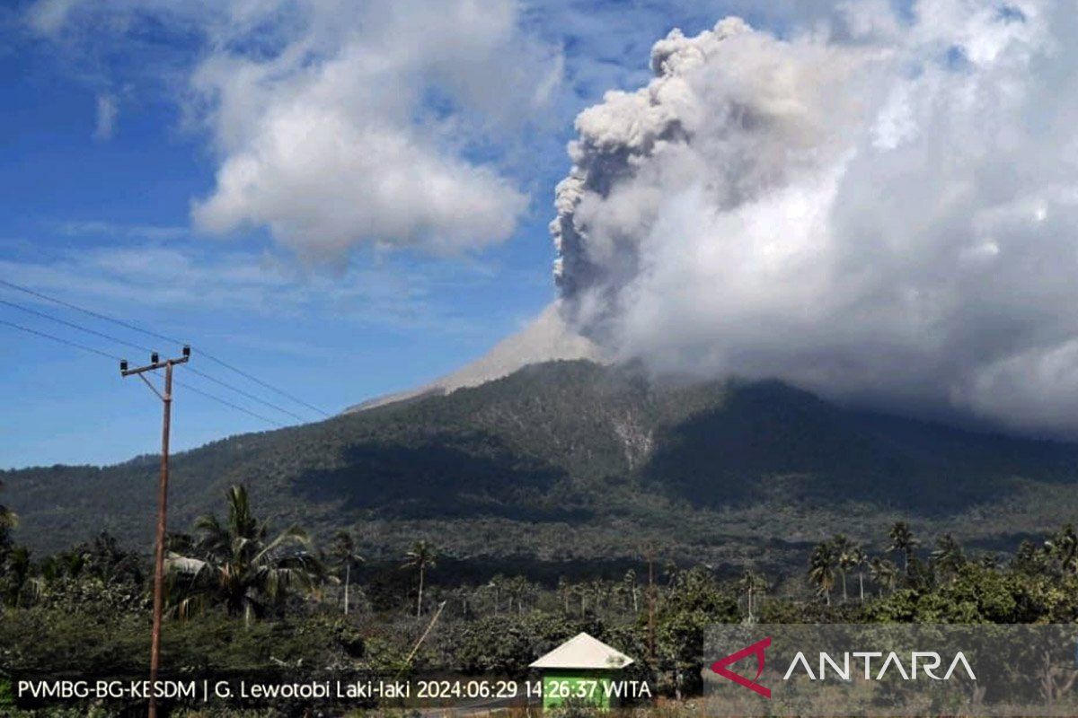 Gunung Lewotobi Laki-laki erupsi selama 10 menit Sabtu sore