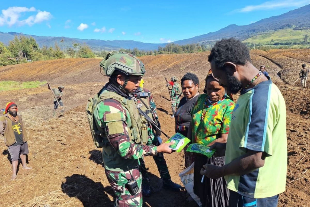 Koops TNI Habema bagikan bibit sayuran ke masyarakat Puncak