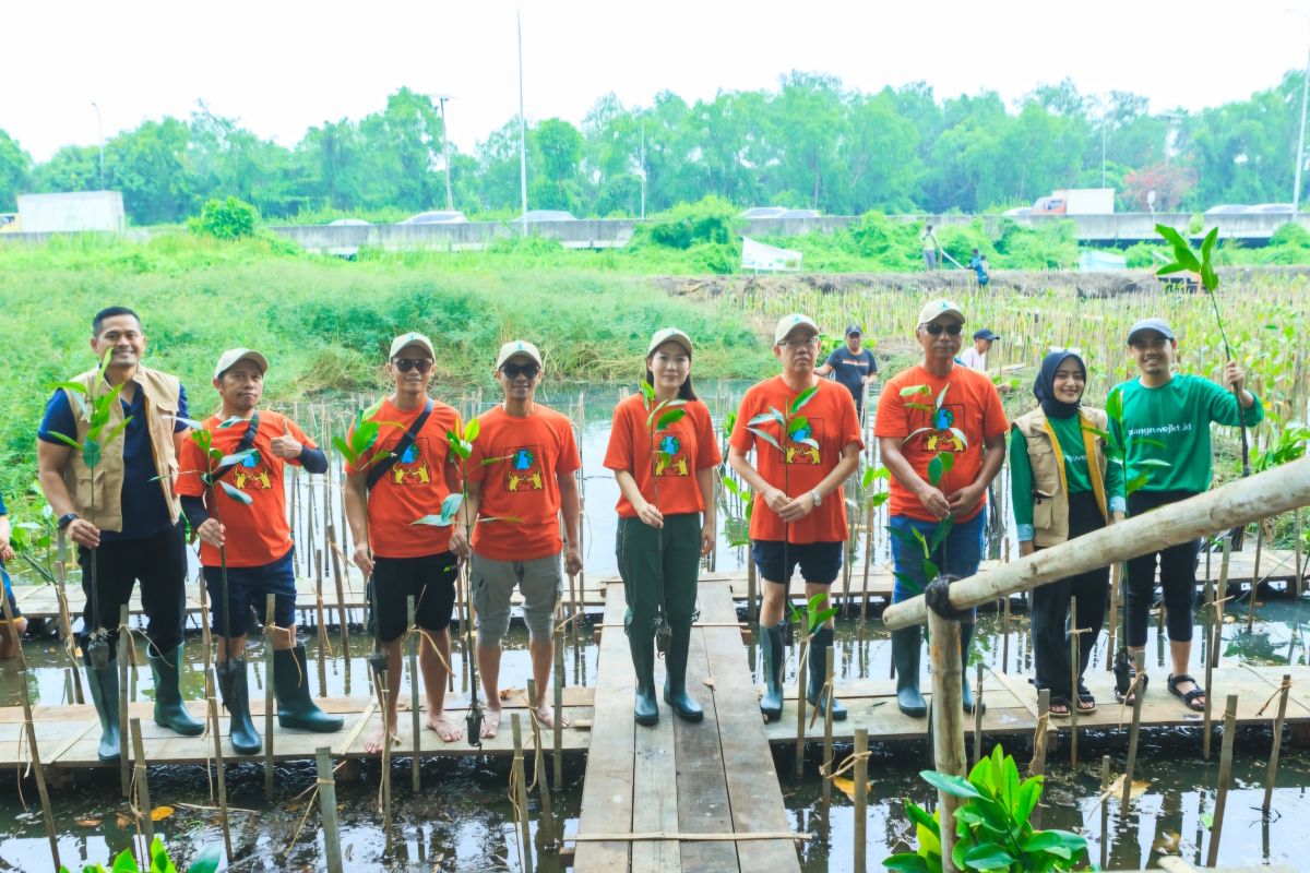 BUMA tanam 250 Mangrove di Ekowisata Mangrove PIK Jakarta Utara