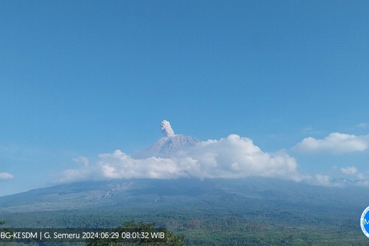 Gunung Semeru erupsi dengan letusan setinggi 900 meter