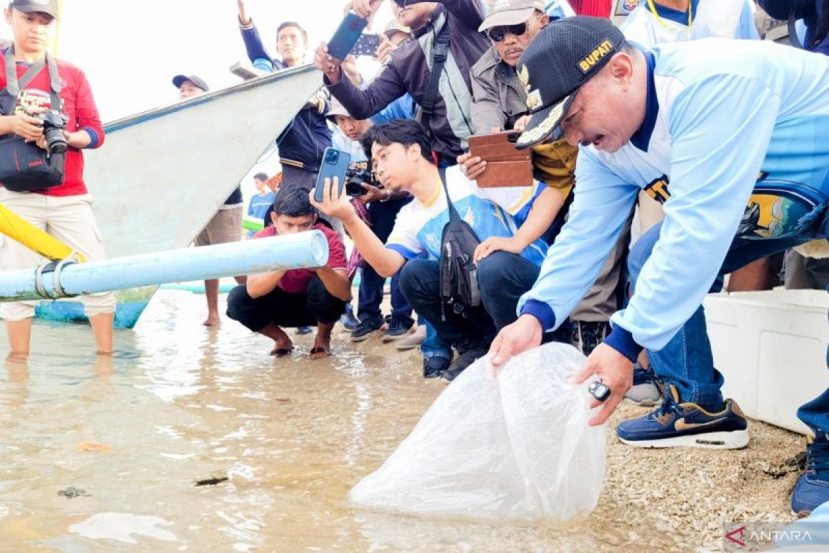 Pemkab Situbondo tebar 2.000 benih ikan dan lepasliarkan tukik
