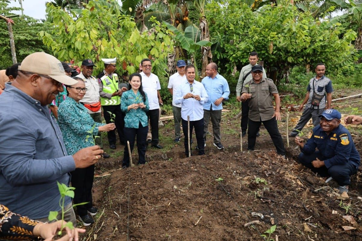 TP PKK salurkan bantuan bibit sayuran tiga daerah di Papua