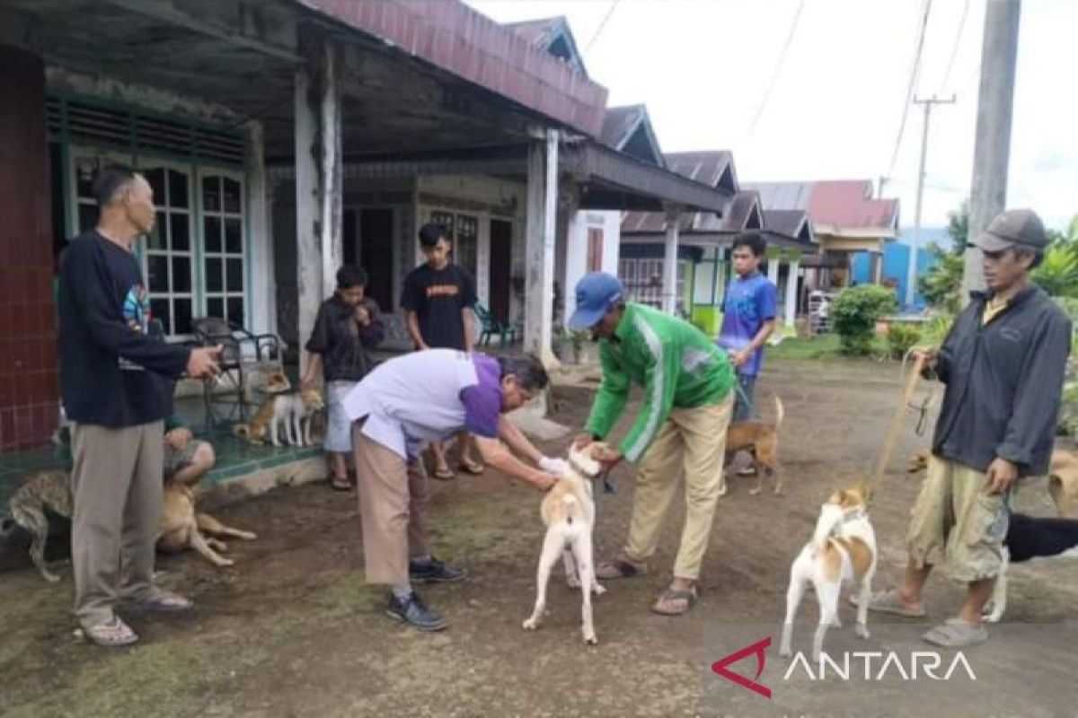 Rejang Lebong siapkan 6.500 dosis vaksin hewan penular rabies