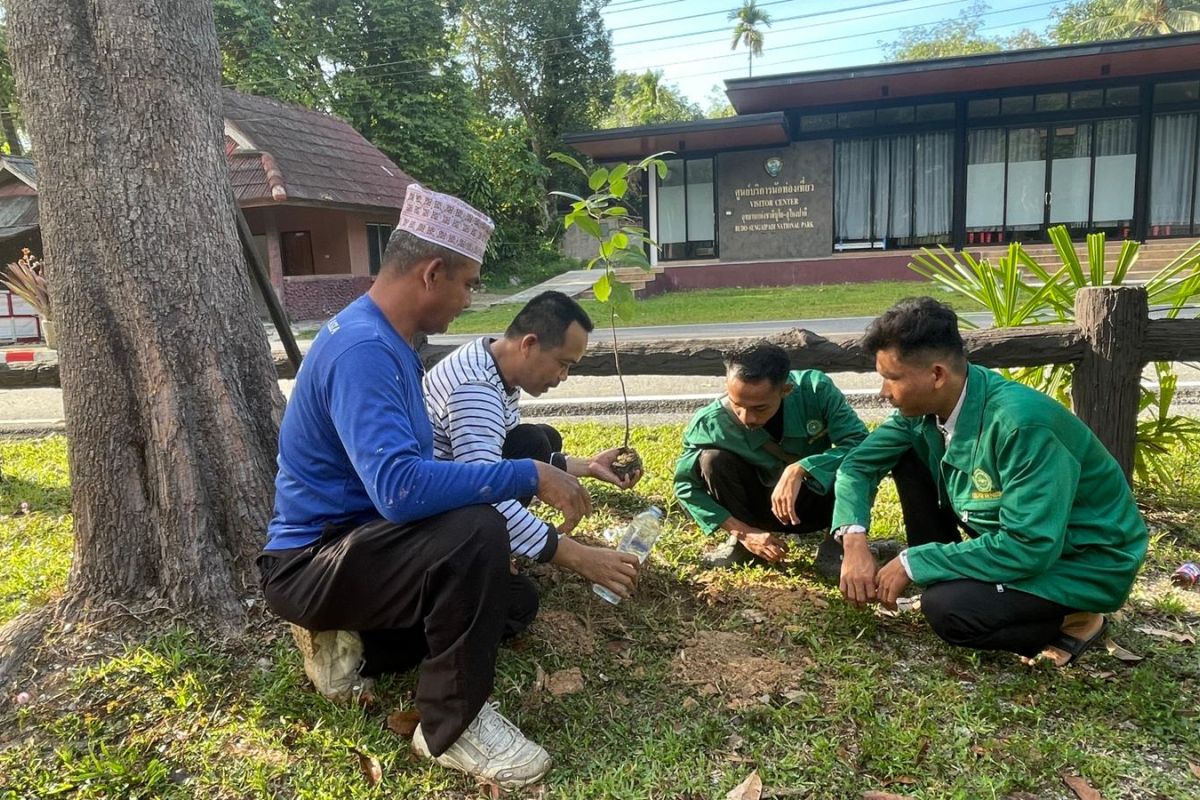 KKN Internasional IAIH Pancor tanam pohon di Budo-Su-Ngai Nasional Park dan Mayo Thailand