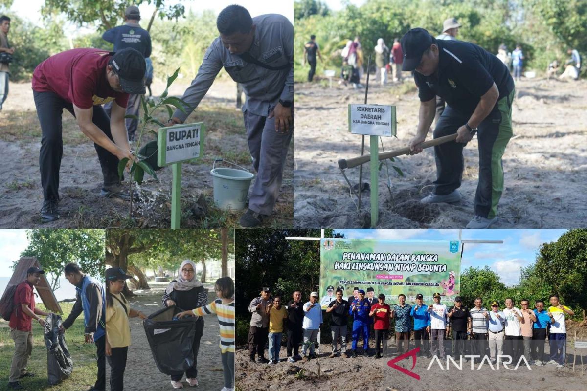 Bangka Tengah tanam 200 bibit buah pulihkan kawasan pantai