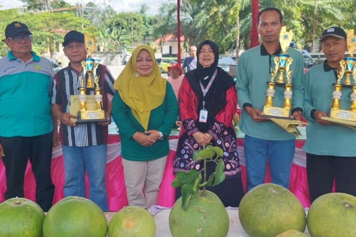 Pemkab Magetan promosikan jeruk pamelo melalui 