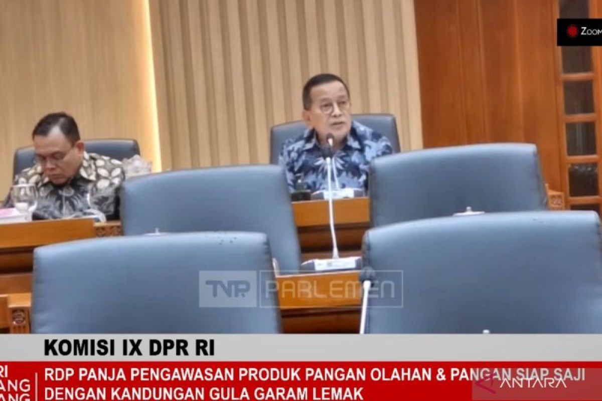 Anggota DPR usul bentuk pansus lintas komisi atasi masalah GGL