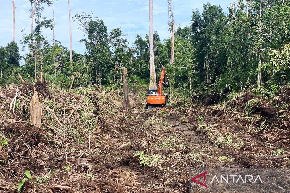 Apel Green: Kerusakan lahan gambut di Rawa Tripa Aceh capai 608,81 Ha