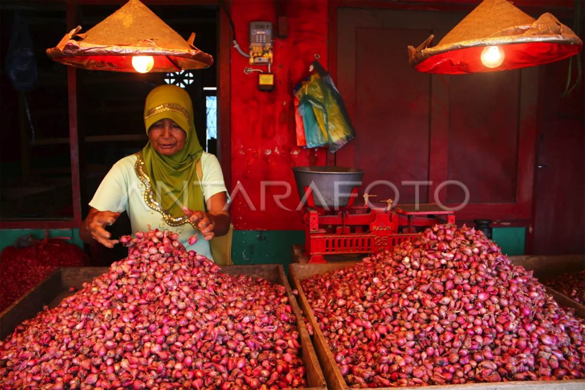 Kota Malang deflasi 0,36 persen didorong penurunan harga bawang merah