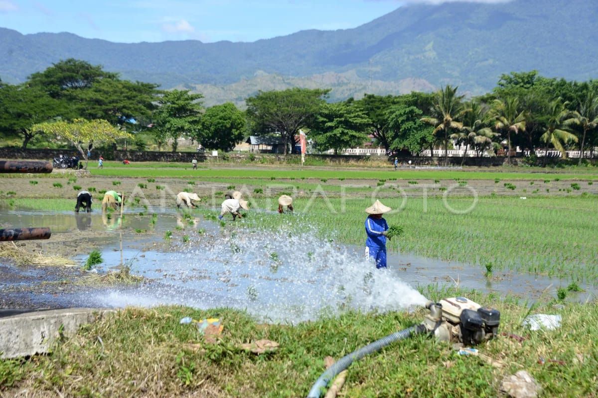 Aceh seeks to accelerate water pump program amid looming drought