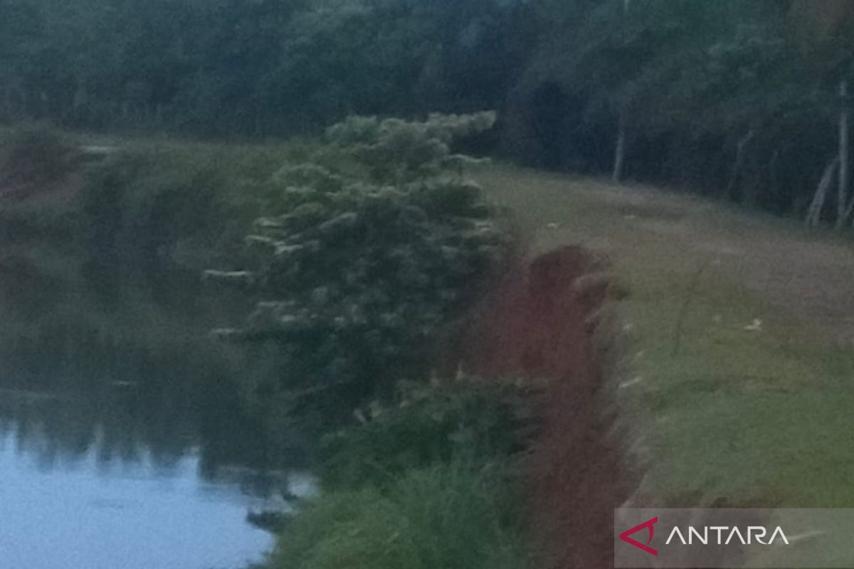 Mukomuko usulkan pembangunan pengaman cegah erosi Sungai Selagan