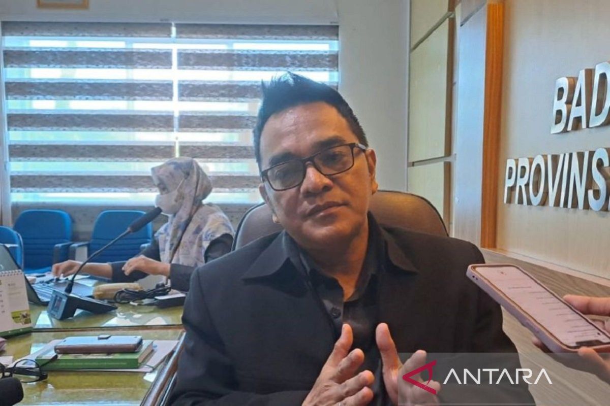 BPS: Jumlah tamu menginap di hotel Babel naik 19,96 persen