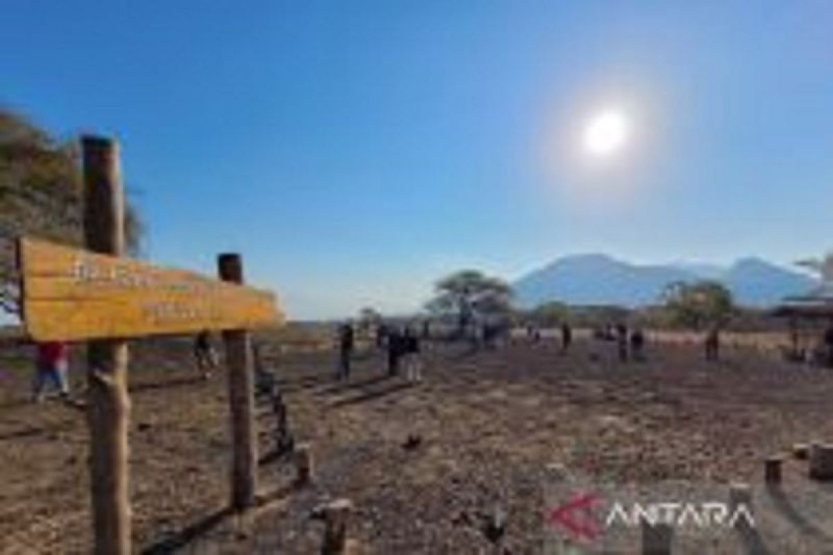 Kebakaran hutan dan lahan TN Baluran Situbondo, Jatim masih bisa diatasi