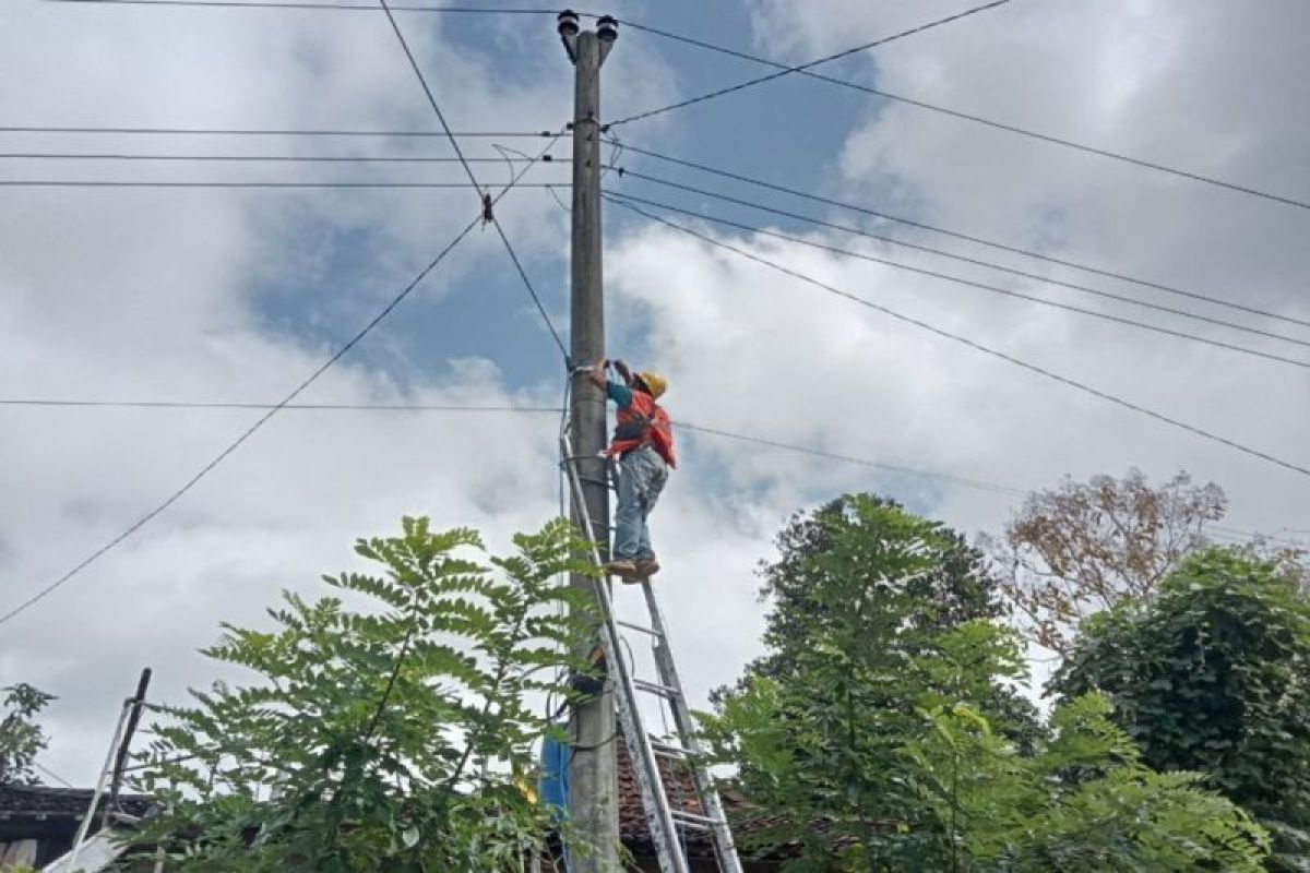 PLN Icon Plus tindaklanjuti laporan kabel fiber optik terlalu ngandong