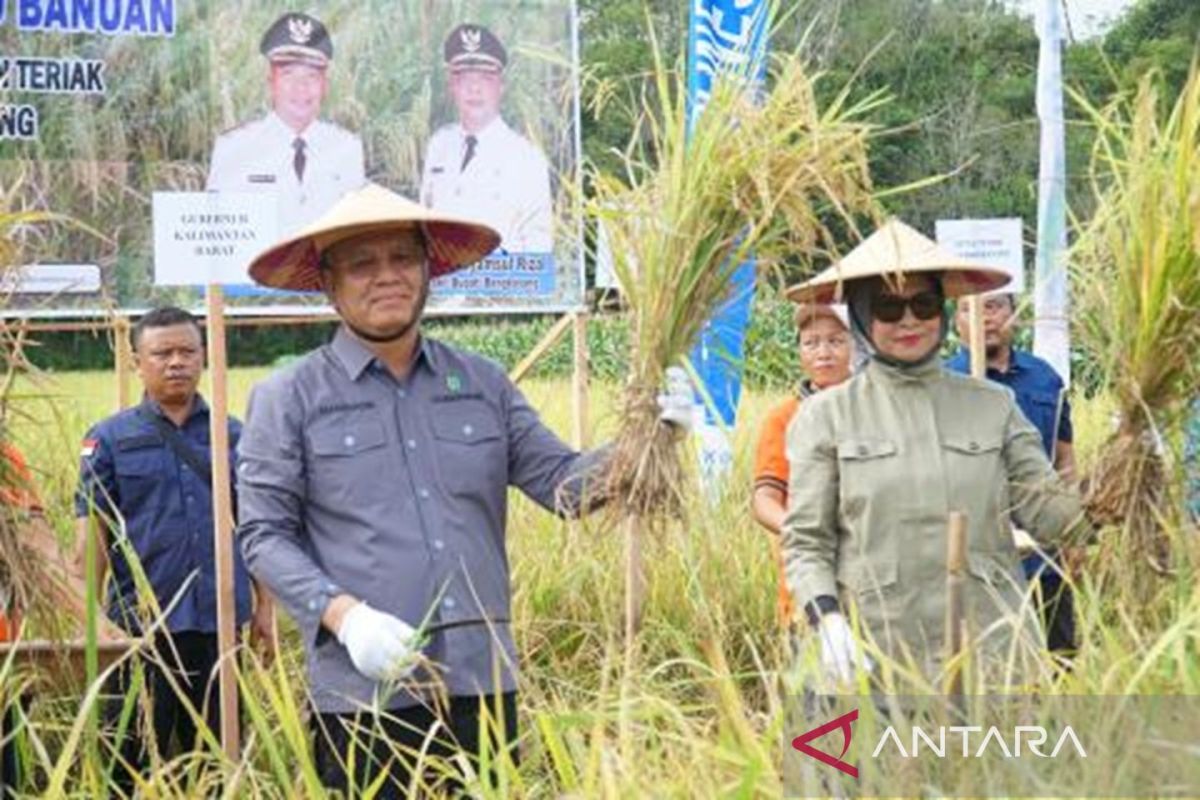 Pemprov Kalbar bentuk mitra kelompok tani melibatkan petani milenial