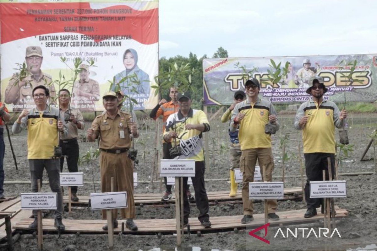 Gubernur Kalsel lakukan gerakan penanaman 237 ribu pohon mangrove