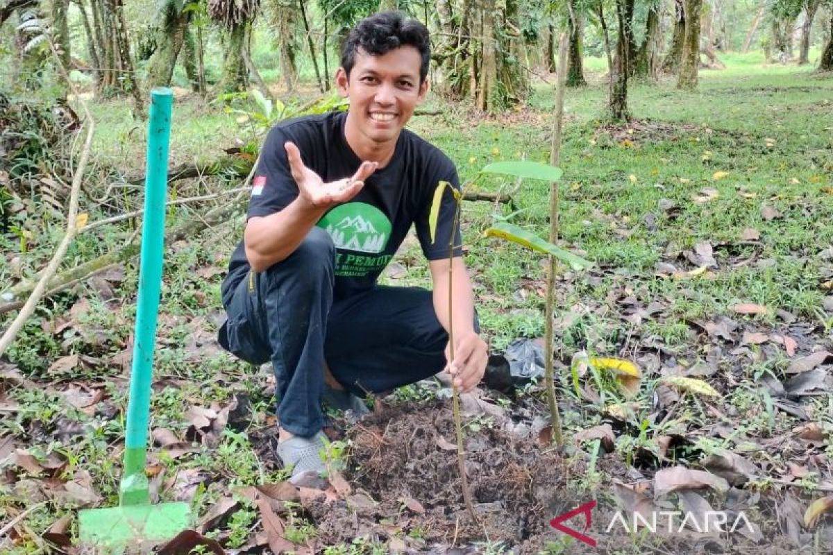 Pemuda Kalbar gelorakan gerakan menanam satu pohon untuk Indonesia