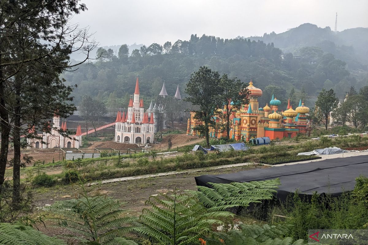 Pemkab Bogor tinjau ulang izin pembangunan wisata di kebun teh Puncak