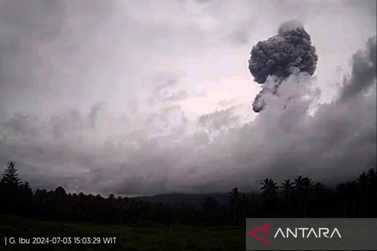 Erupsi Gunung Ibu dua kali hembuskan abu setinggi 500 meter pagi ini