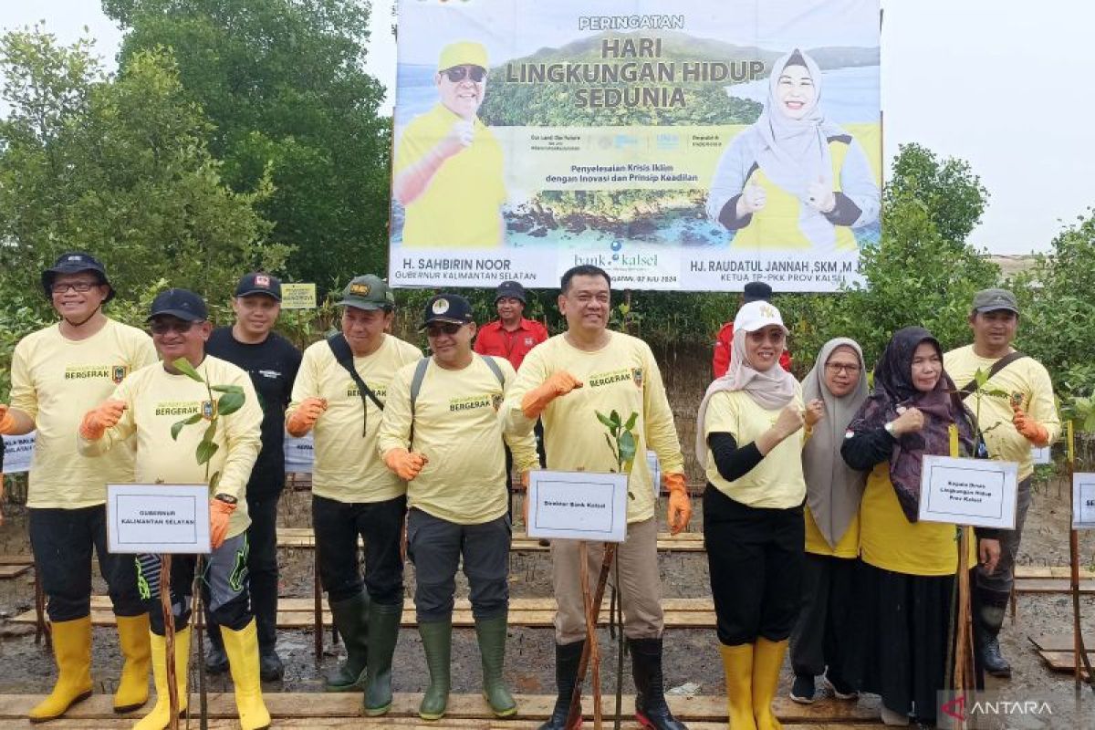 DLH Kalsel tanam 8.000 batang mangrove di pesisir Tanah Bumbu