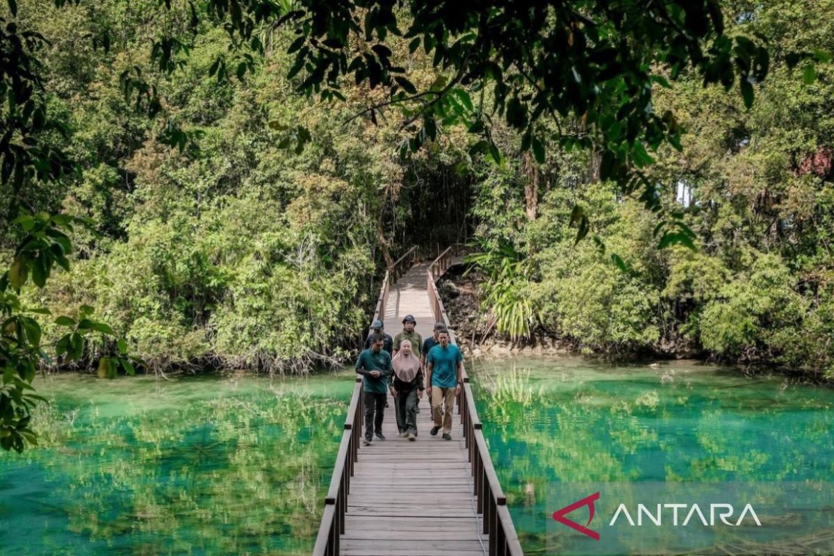 Sandiaga Uno prioritaskan kelestarian ubur-ubur di Pulau Kakaban