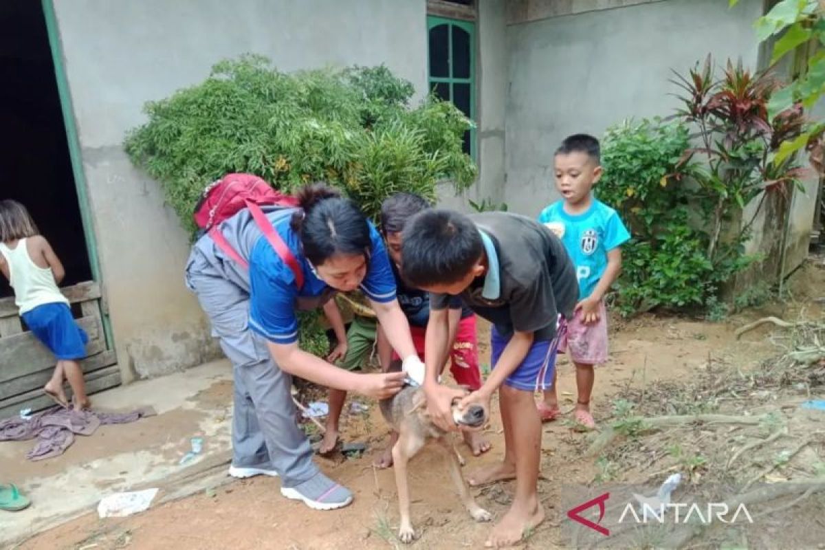 Kalbar tingkatkan sosialisasi dan vaksinasi pencegahan rabies