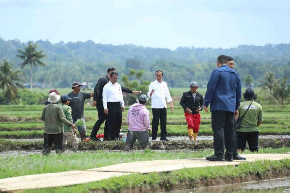 Mentan dampingi Presiden Jokowi memastikan pertanian di Sulsel berjalan baik