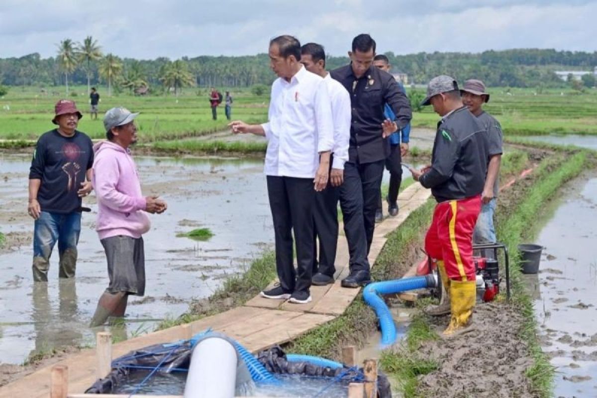 Presiden Jokowi tinjau langsung penyaluran bantuan pompa irigasi di Bone