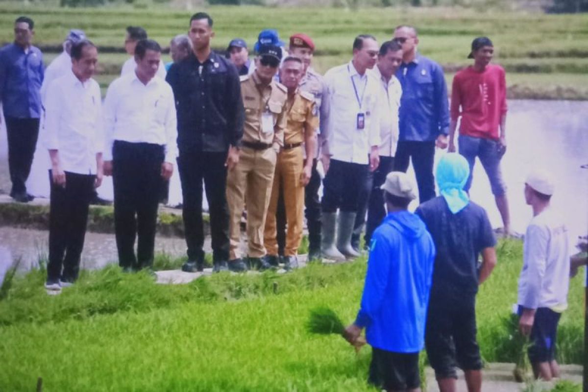 Pj Gubernur Sulsel dampingi Presiden Jokowi di Bone