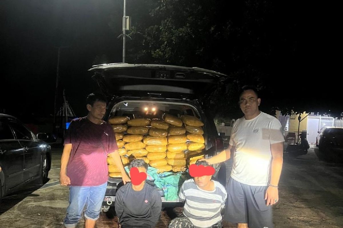 Polisi gagalkan peredaran ganja seberat 48 kilogram jaringan Sumut