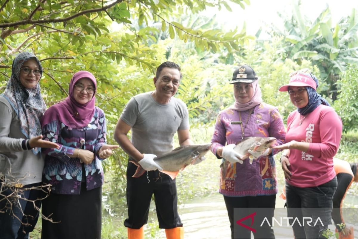 Kelompok Tani Kelurahan Setu panen ikan sebanyak 50 Kg 